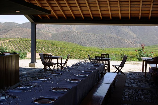 Alto Douro Walk & WineTour - About the Tour
