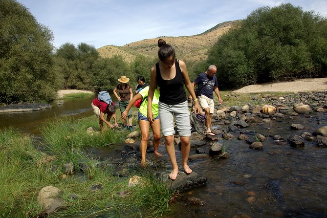 Alto Douro Walk & WineTour - Traveler Experiences