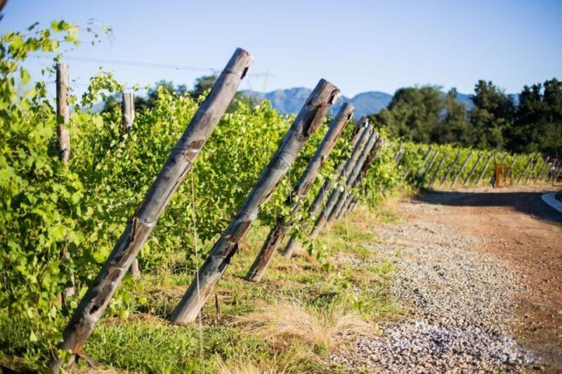 Alto Piemonte: Private Wine Tasting - Experience the Charm of Pietro Cassina Winery