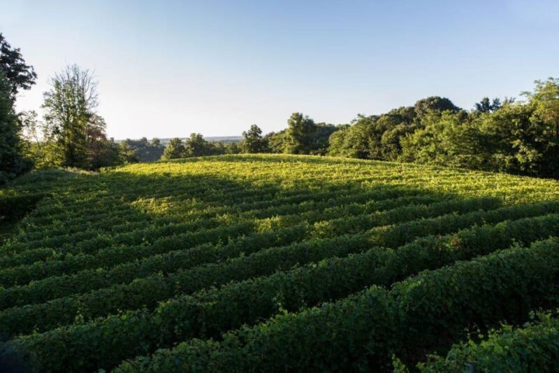 Alto Piemonte: Private Wine Tasting - Savoring the Flavors: The Wine Tasting Experience