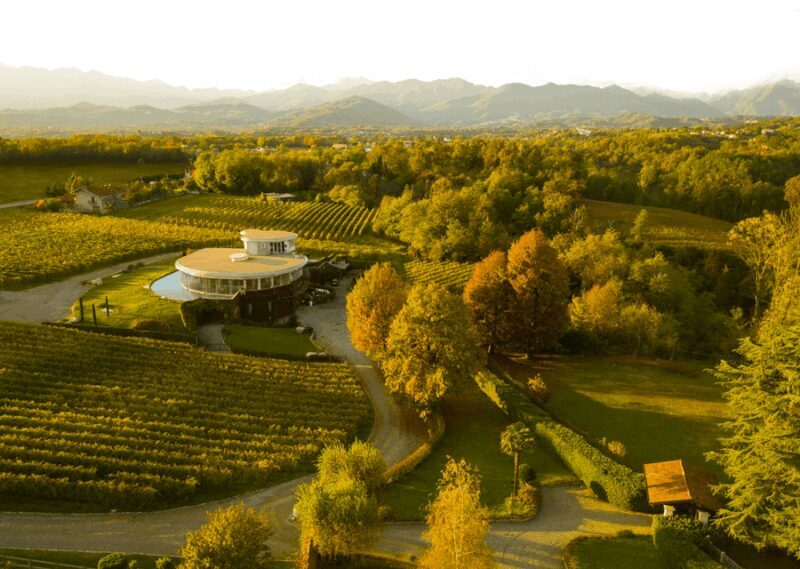 Alto Piemonte: Private Wine Tasting - Sustainable Practices at Pietro Cassina