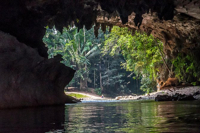 Altun Ha Cave Tubing and Zip Line Tours From San Pedro Ambergris Caye - Ziplining Adventure Near Altun Ha