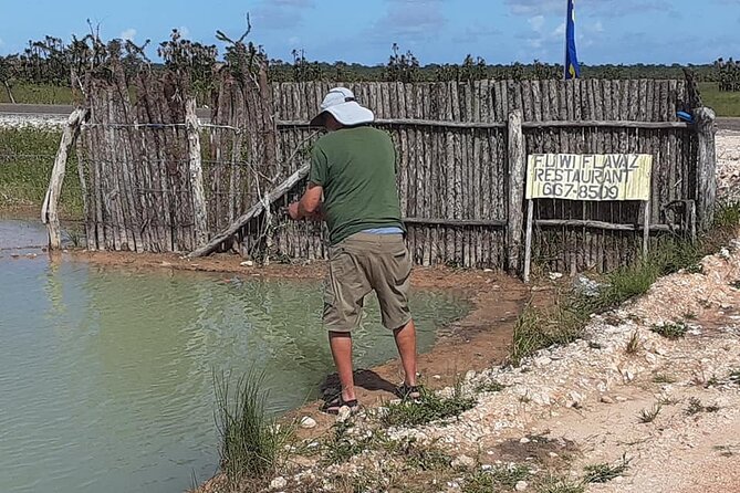 Altun Ha Mayan Site & Food Tour - Fish Farm & Restaurant - Visiting the Fish Farm