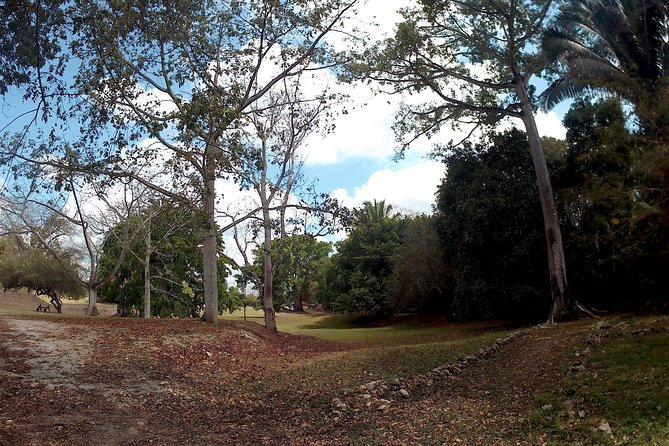Altun Ha, Monkey Sanctuary and Rum Factory Tour From Belize City - Customer Feedback