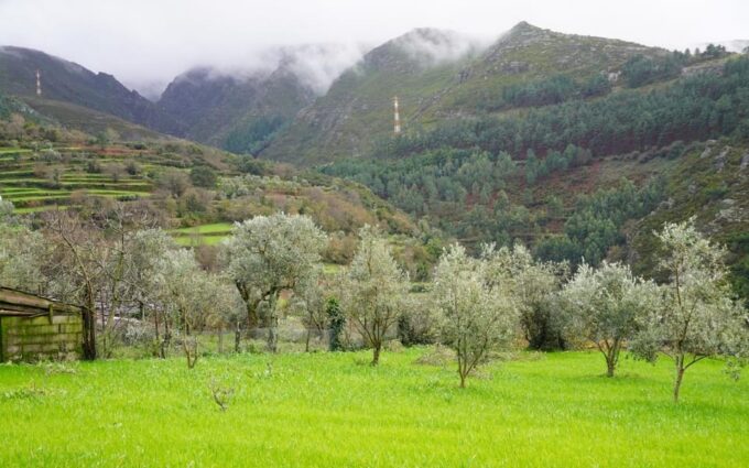 ALVÃO SHEPHERDS HIKE - Bravia Goats and Pastoral Heritage