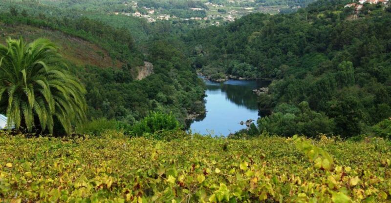 Alvarinho Wine Full Day Tour - Tour Duration