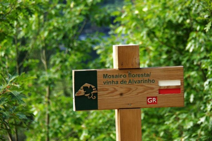 Alvarinho Wine Full Day Tour - Additional Notes