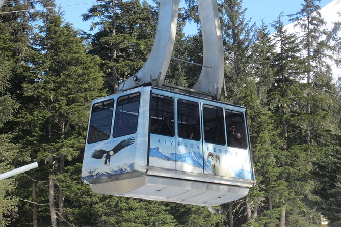 Alyeska Tram - A Self-Guided Tour - Getting to Girdwood