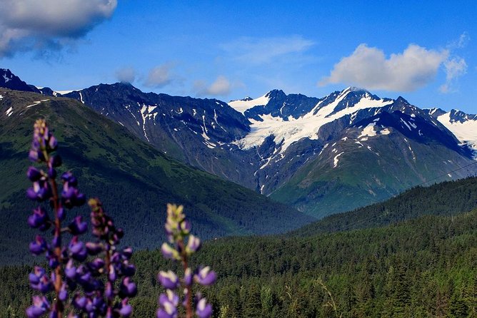 Alyeska Tram - A Self-Guided Tour - Health Considerations