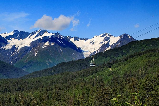 Alyeska Tram - A Self-Guided Tour - Customer Feedback