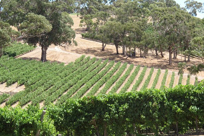Amador County Wine Tasting Tours 6 to 8 Hour Private Tour 14 Pax - Wine Tasting Fees