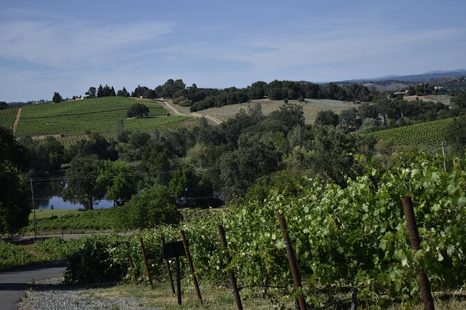 Amador County Wine Tasting Tours Max 14 Pax Private Wine Tours - Booking Details