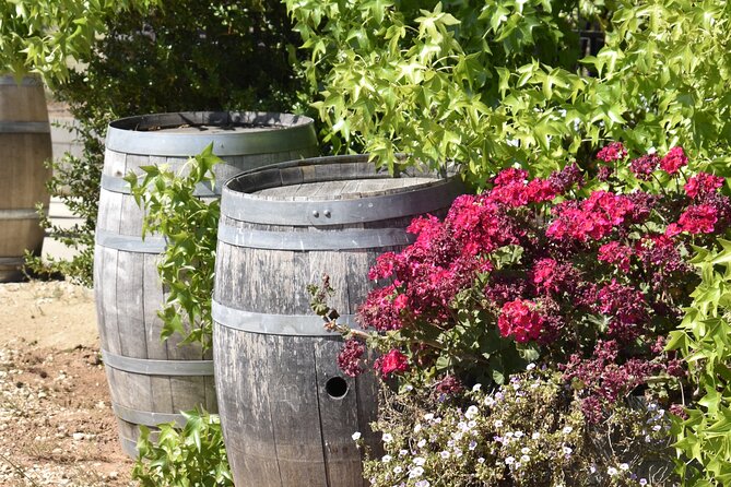 Amador County Wine Tasting Tours Max 14 Pax Private Wine Tours - Accessibility and Participation