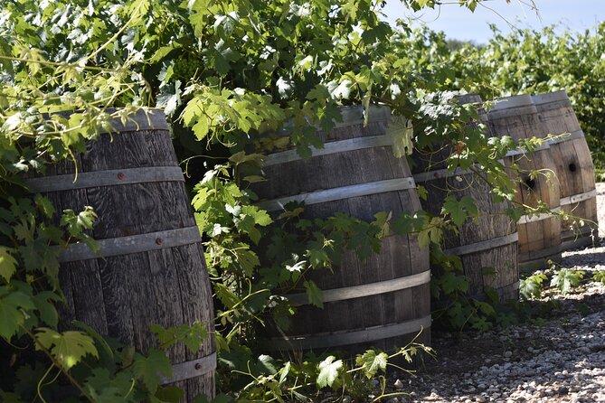 Amador County Wine Tasting Tours Max 14 Pax Private Wine Tours - Customizable Itineraries