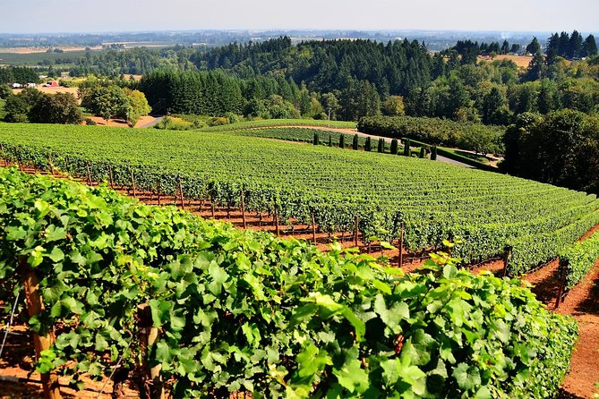 Amador County Wine Tasting Tours Max 14 Pax Private Wine Tours - Frequently Asked Questions