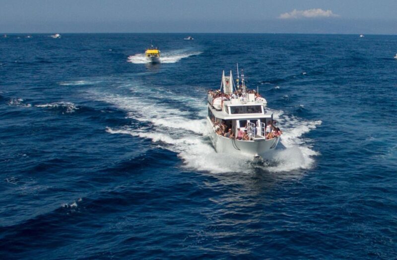 Amalfi and Positano Cruise With Transfer Included - Key Points