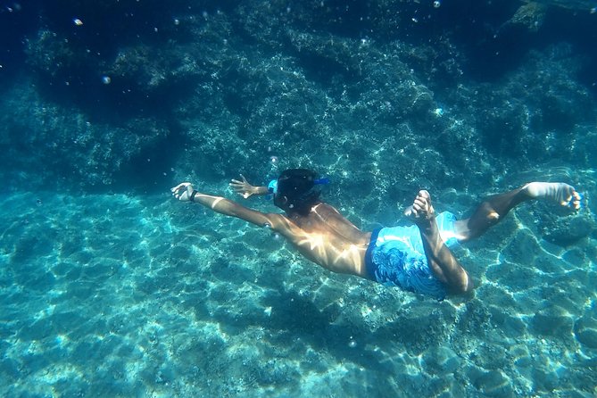 Amalfi Coast 4-Hour Kayak Tour From Marina Del Cantone - Natural Marine Reserve Paddle