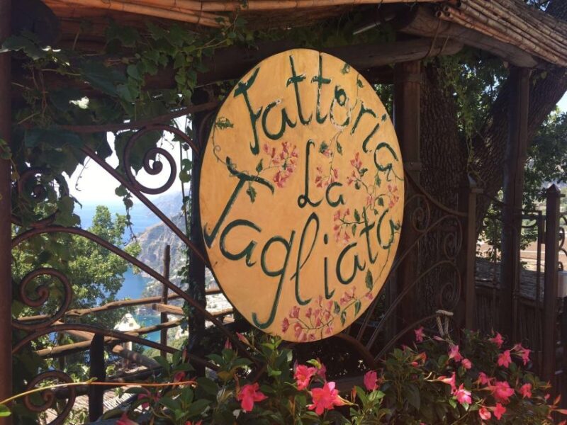 Amalfi Coast and Food Tour: From Farm to Table - Key Points