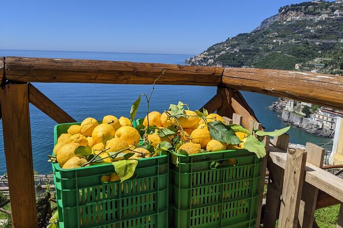Amalfi Coast - Maiori: Path of Lemons, Tour With Tasting - Highlights of the Path of Lemons