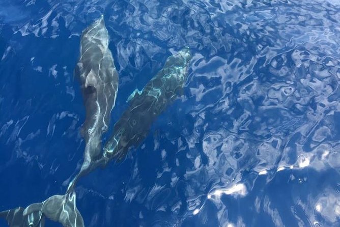 Amalfi Coast on Luxe Yacht - Tour Availability