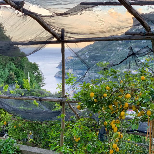 Amalfi Coast Path of the Lemon Private Walking Tour - Key Stops