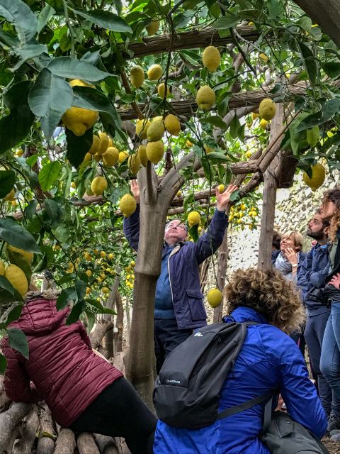 Amalfi Coast Path of the Lemon Private Walking Tour - Important Information