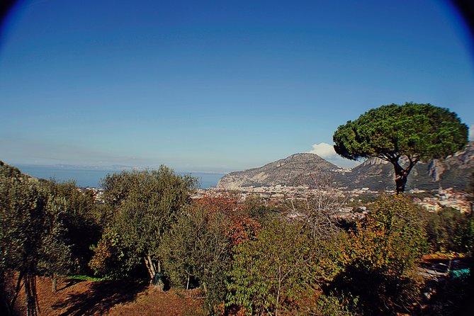 Amalfi Coast Private Day Trip - Preparing for Your Amalfi Coast Adventure