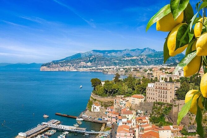 Amalfi Coast Sorrento and Pompeii From Naples - Private Tour - Included Amenities