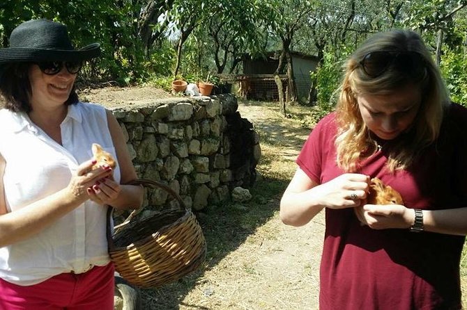 Amalfi Coast & Sorrento Cooking Class School at Farmhouse - Taking in the Local Culture