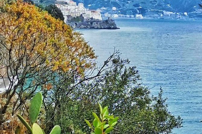 Amalfi Coast Tour From Sorrento: Private Day Trip With Local Driver - Flexible Itinerary Customization