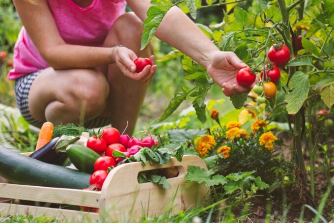 Amalfi: Cooking Class and Farmhouse Visit With Meal - Cooking Class Details