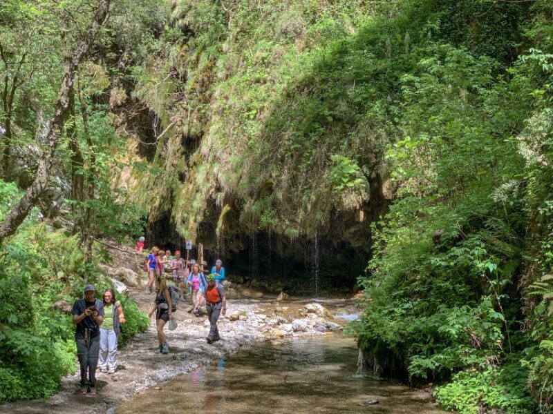 Amalfi: Private Valley of the Mills Nature Reserve Tour - Customer Reviews and Ratings
