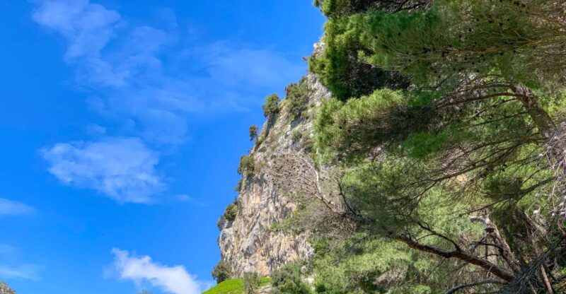 Amalfi: Private Walking Tour Above Amalfi Coast Villages - Tour Features