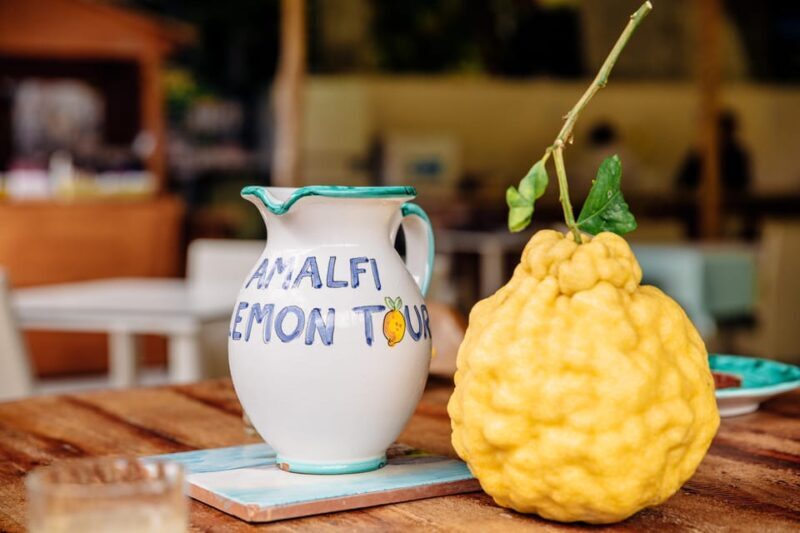 Amalfi: Vertical Lemon Farm Tour, Tastings, and Rural Museum - Important Information and Recommendations