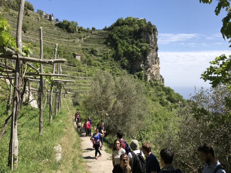 Amalfi: Walking Tour Between Furore Vertical Vineyards - Highlights and Features