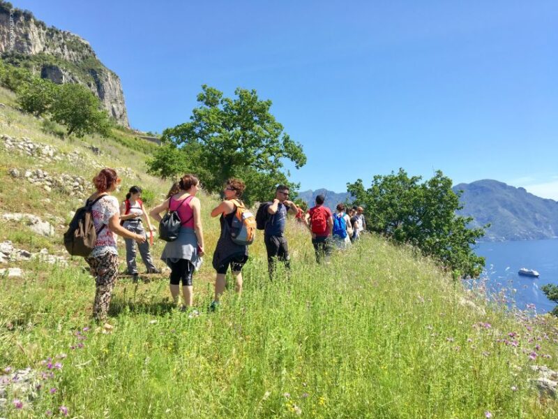 Amalfi: Walking Tour Between Furore Vertical Vineyards - Inclusions and Exclusions