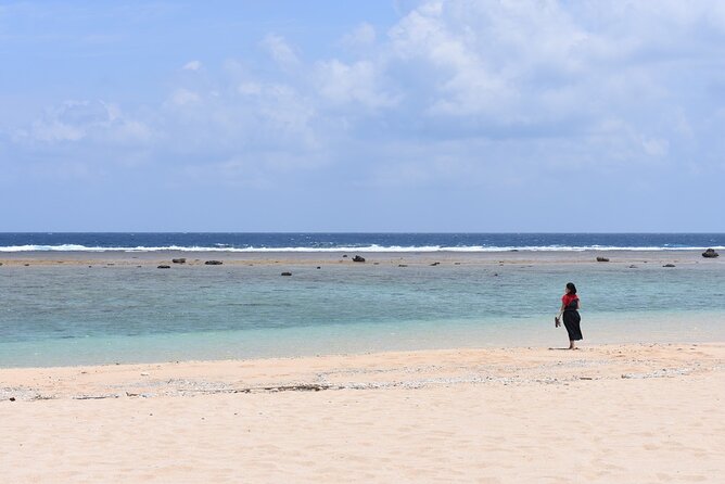 Amami Oshima Island Nature Highlights Day Tour - Mangrove Exploration