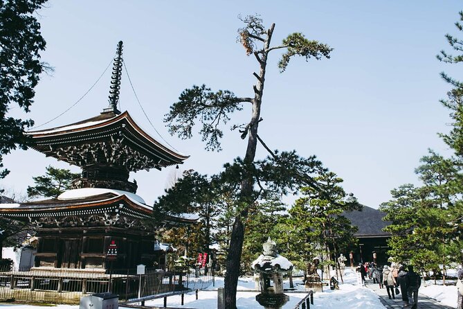 Amanohashidate and Miyama One Day Tour From Osaka and Kyoto - Meeting Points and Transportation