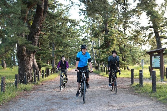Amanohashidate Cruise E-Ride Tour - Tour Accessibility