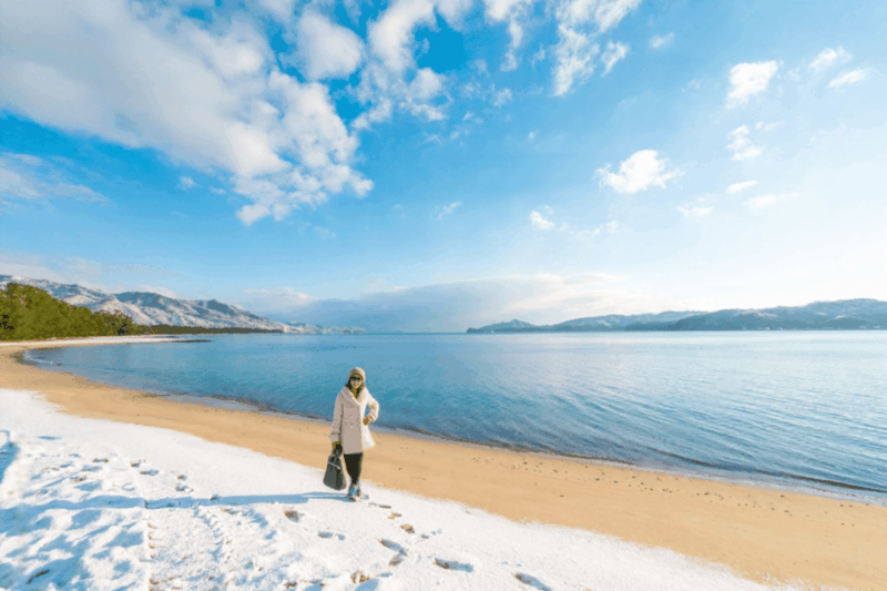 Amanohashidate & Ine Bay Tour With English Speaking Driver - Key Points