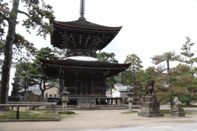 Amanohashidate & Ine Bay Tour With English Speaking Driver - Bicycling Through the Scenic Village of Ine