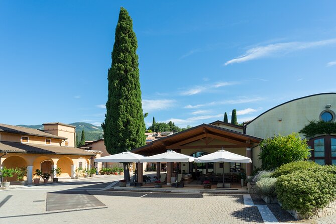 Amarone 2005 Wine Experience - Wine Tasting Details