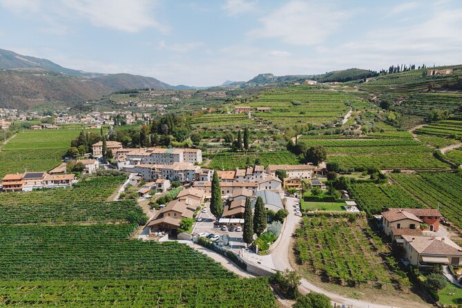 Amarone 2005 Wine Experience - Winery and Tasting Notes