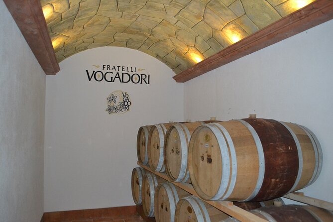 Amarone Della Valpolicella Wine Experience - Meet the Vogadori Family - Meeting the Vogadori Family