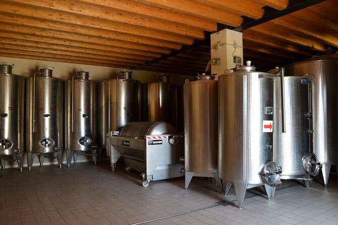 Amarone Della Valpolicella Wine Experience - Meet the Vogadori Family - Transportation and Location