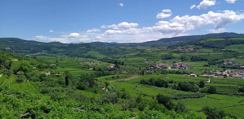 Amarone Vertical: a Unique Experience Tasting Different Vintages of Amarone - Overview of Amarone Vertical Tasting