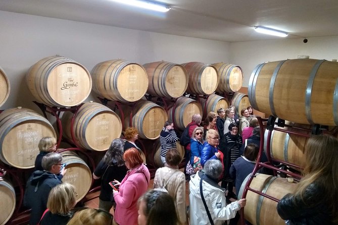 Amarone Wine Tasting in Valpolicella | 4 Wines + Snacks - The Wines of Valpolicella