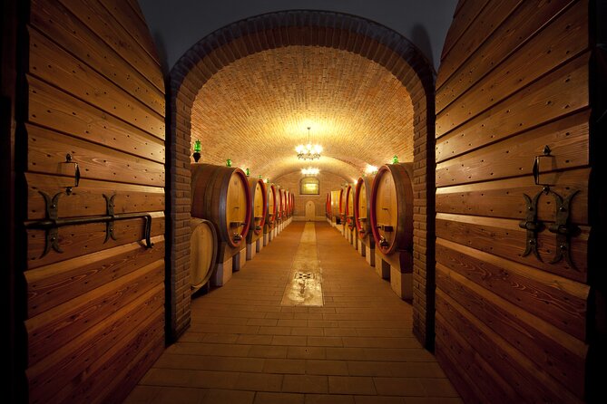 Amarone Wine Tasting in Valpolicella | 4 Wines + Snacks - Tasting the Amarone