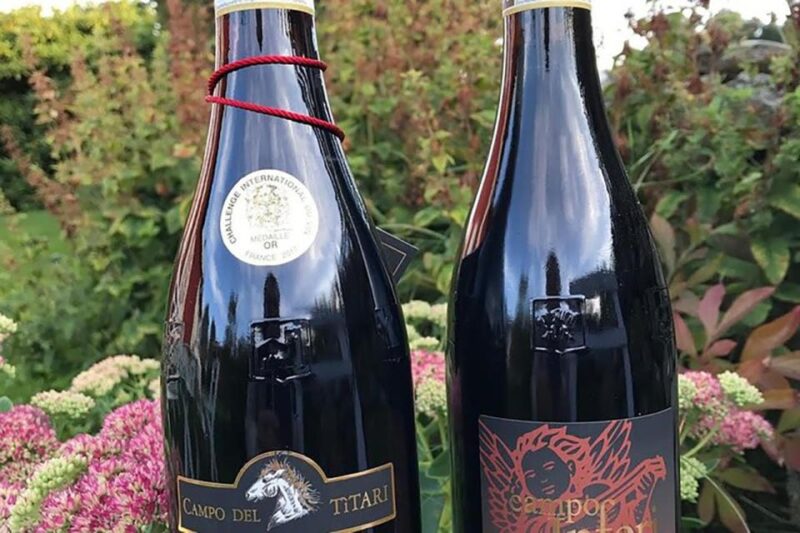 Amarone Wine Tasting Tour. Visit Verona. From Venice - Key Points
