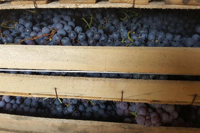 Amarone Wine Tour (All-Inclusive Full Day With Lunch and Expert Wine Guide) - Meeting and Pickup